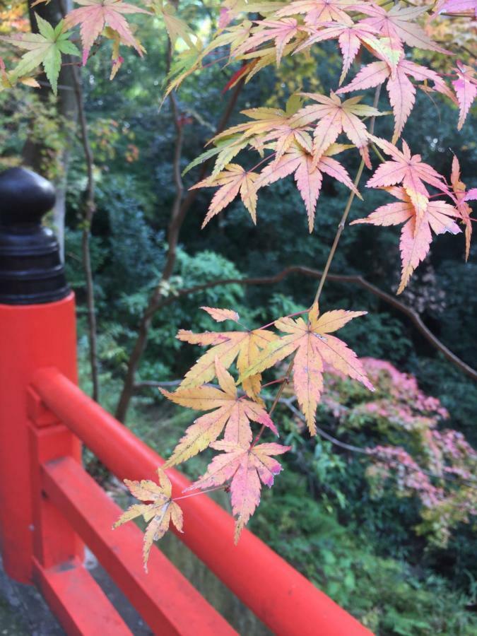 Kyo-Anthu Inn Kyoto Ngoại thất bức ảnh